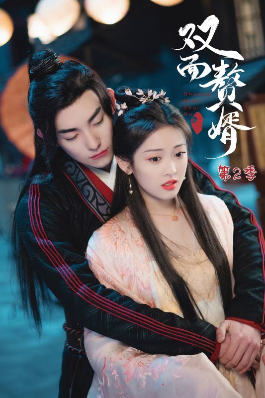 双面赘婿第二季封面图