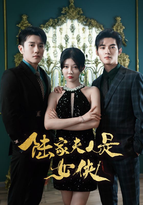 陆家夫人是女侠封面图