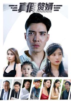 真假赘婿封面图