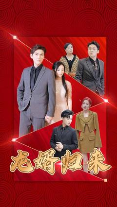 龙婿归来封面图