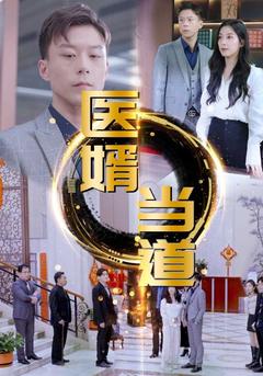 医婿当道封面图