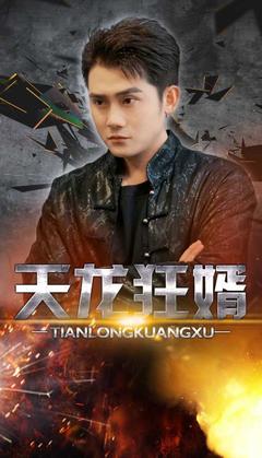 天龙狂婿封面图