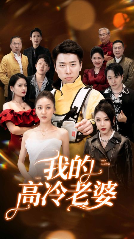 我的高冷老婆封面图