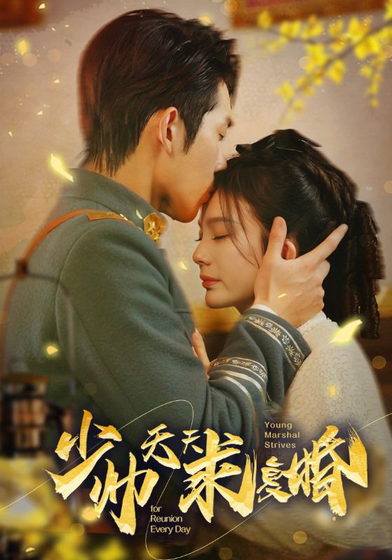 少帅天天求复婚封面图