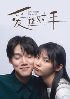 替嫁娇妻2-爱逢对手封面图