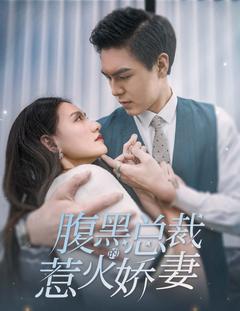 腹黑总裁的惹火娇妻封面图