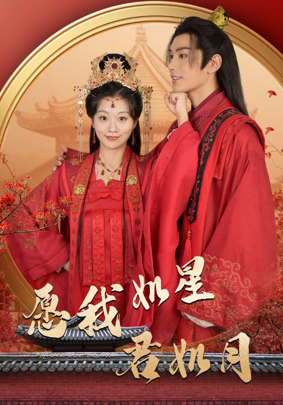 愿我如星君如月封面图