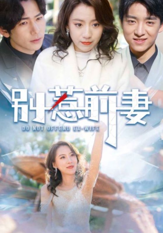 别惹前妻封面图
