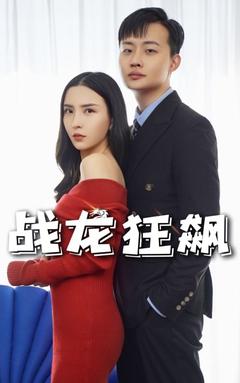 战龙狂飙封面图