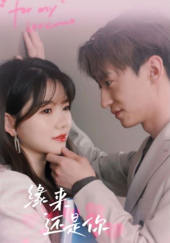 缘来还是你封面图