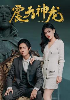 震天神龙封面图