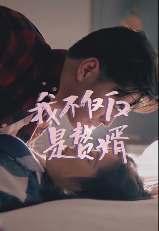 我不仅仅是赘婿封面图