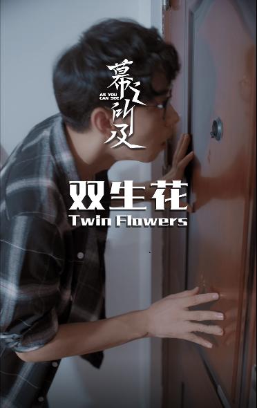 双生花封面图