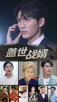 盖世战婿封面图