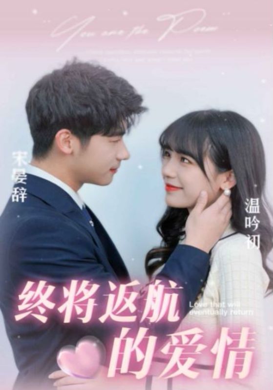 终将返航的爱情封面图
