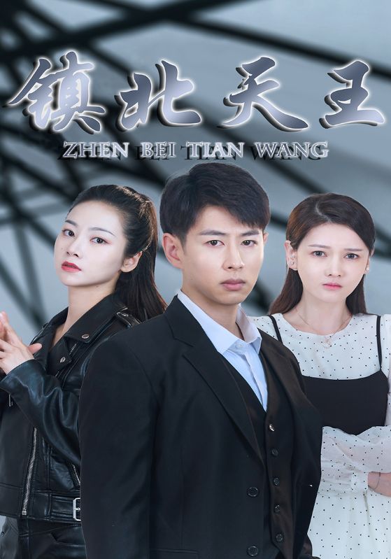 镇北天王封面图