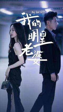 我的明星老婆封面图