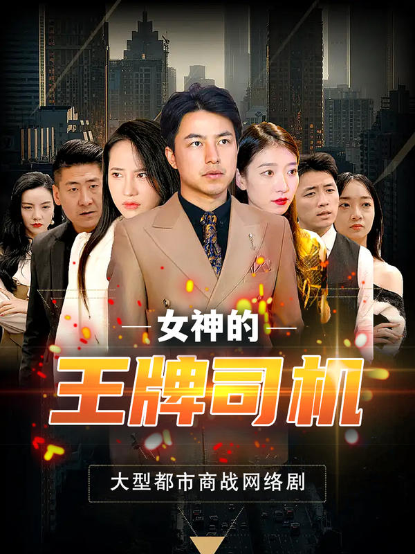 女神的王牌司机封面图