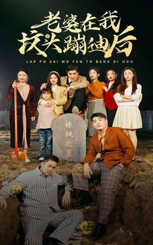 老婆在我坟头蹦迪后封面图