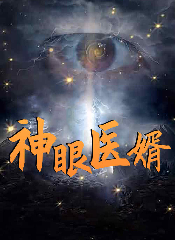 神眼医婿封面图