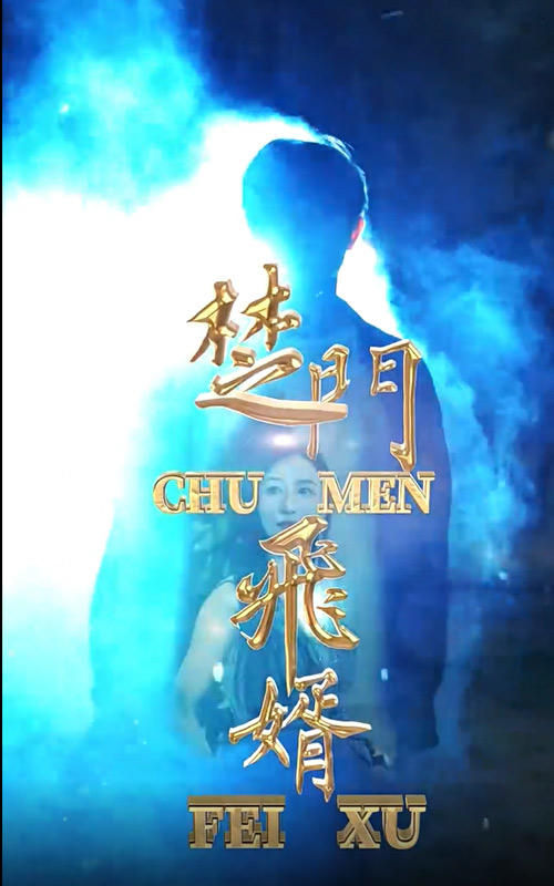 楚门飞婿封面图