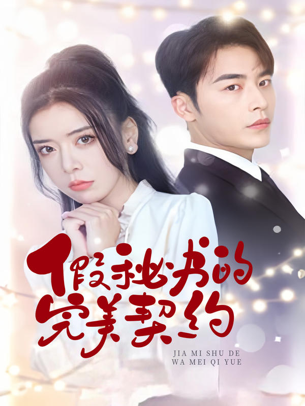 假秘书的完美契约封面图