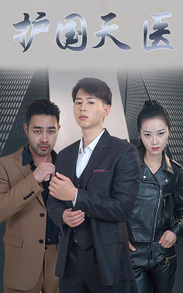 护国天医封面图