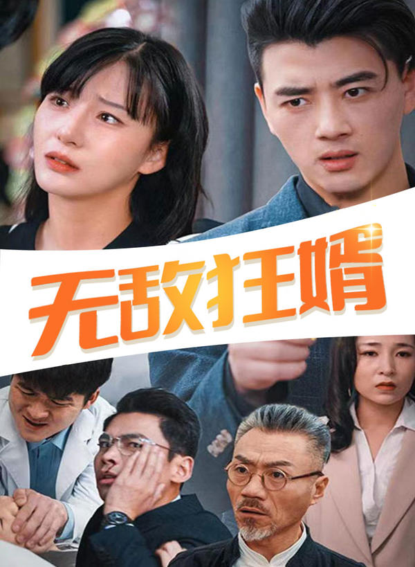 无敌狂婿封面图