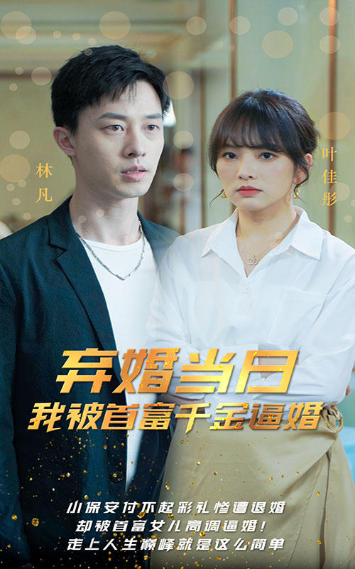 弃婚当日，我被大佬千金逼婚封面图