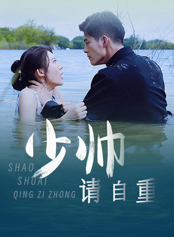 少帅，请自重封面图