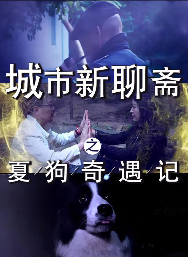 城市新聊斋之夏狗奇遇记封面图
