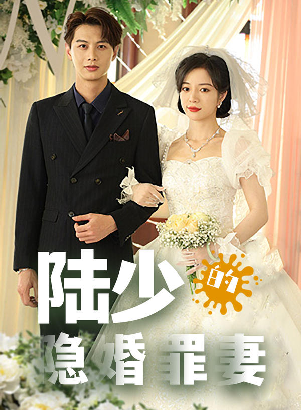 陆少的隐婚罪妻封面图