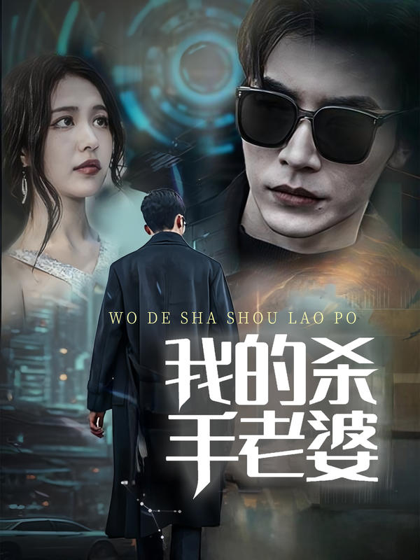 我的杀手老婆封面图