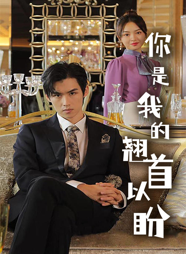 你是我的翘首以盼封面图