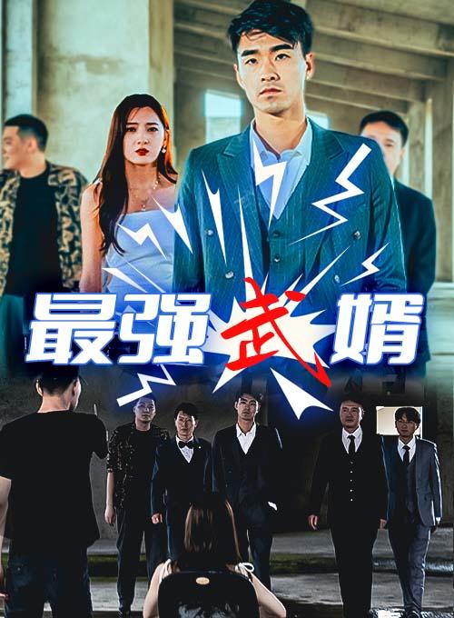 最强武婿封面图