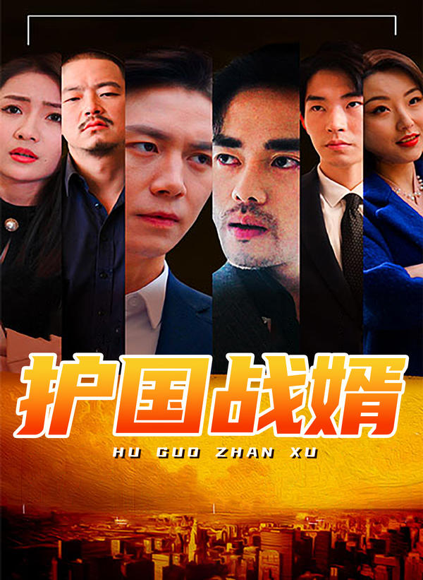 护国战婿封面图