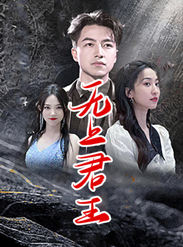 无上君王封面图