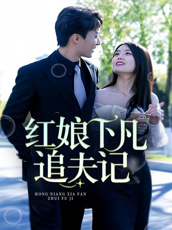 红娘下凡追夫记封面图