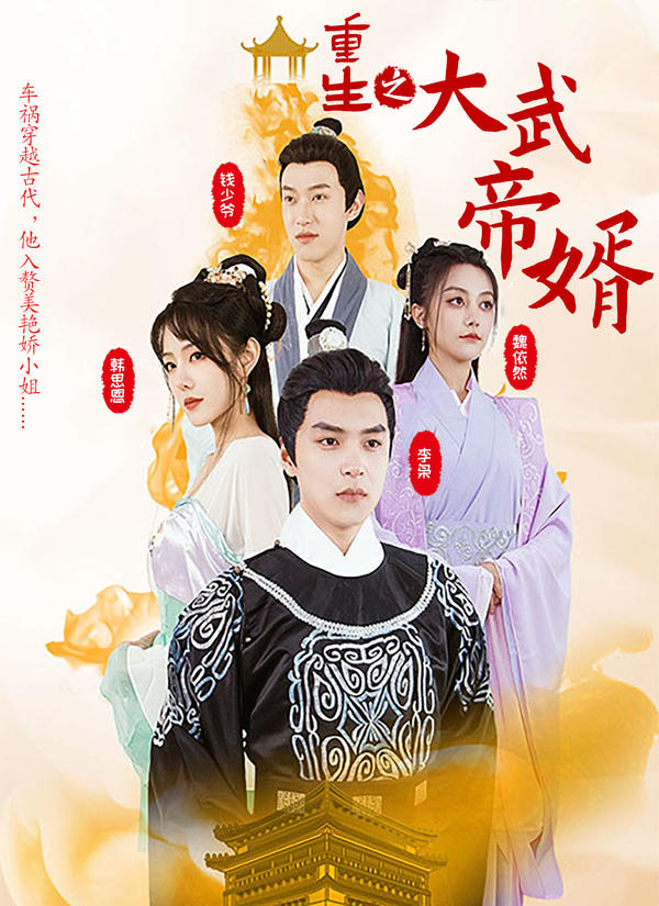 重生之大武帝婿封面图