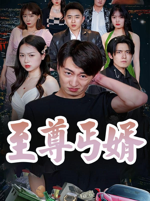 至尊丐婿封面图