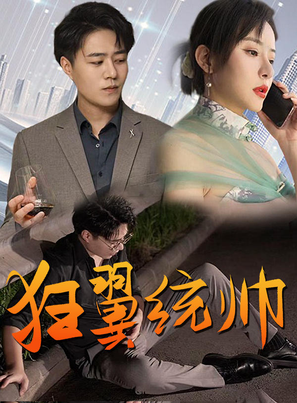 狂翼统帅封面图