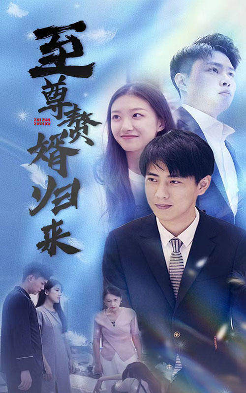 至尊赘婿归来封面图