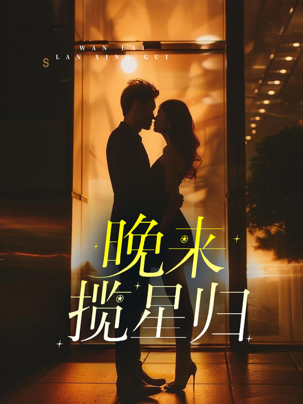 晚来揽星归封面图