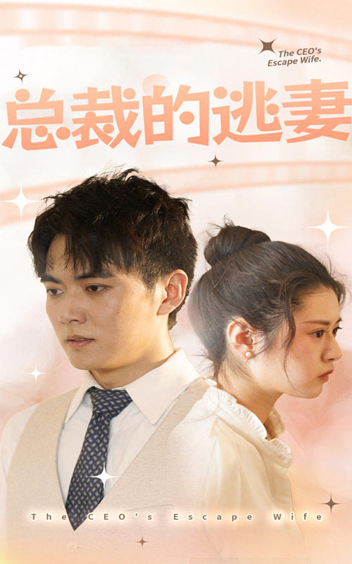 总裁的逃妻封面图