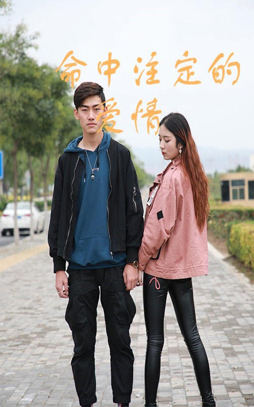 命中注定的爱情封面图