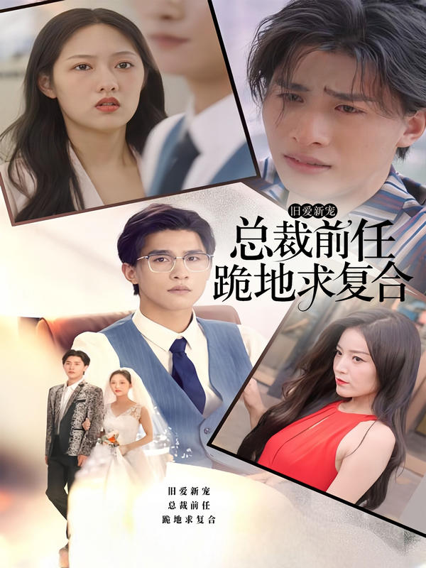 旧爱新宠，总裁前任跪地求复合封面图