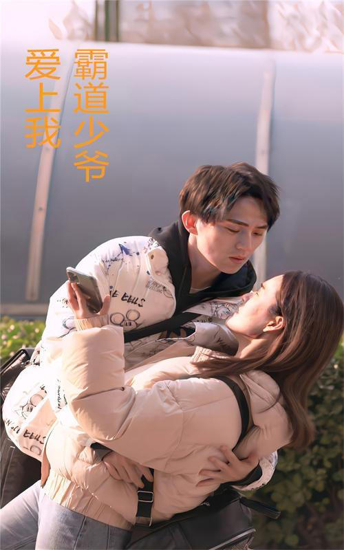 霸道少爷爱上我封面图