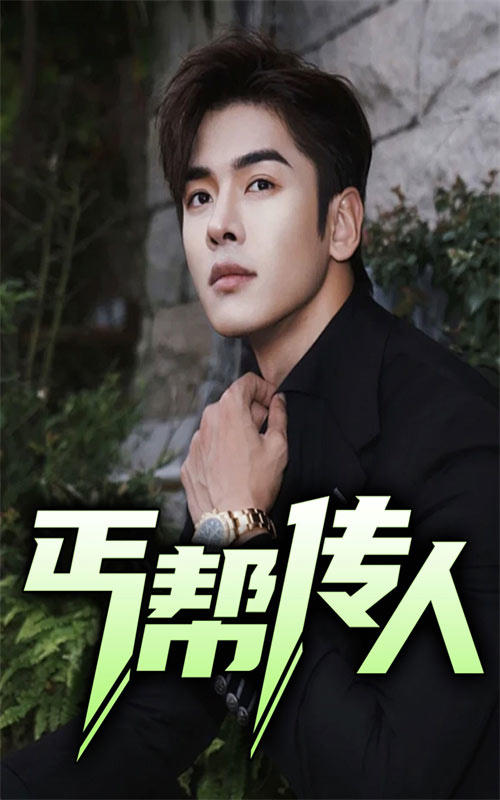 丐帮传人封面图