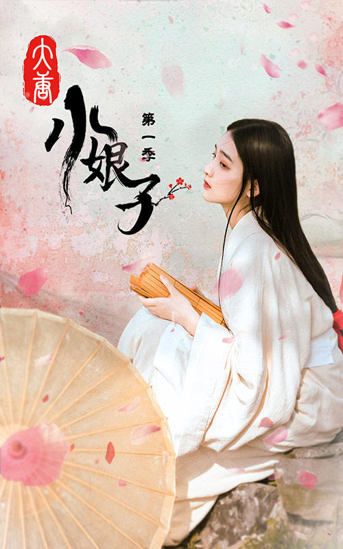大唐小娘子第一季封面图