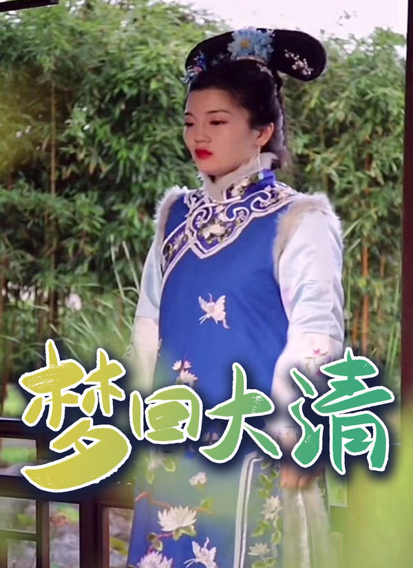 梦回大清封面图